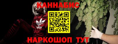 PSILOCYBIN Заволжье