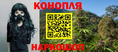 гидропоника Жуковский