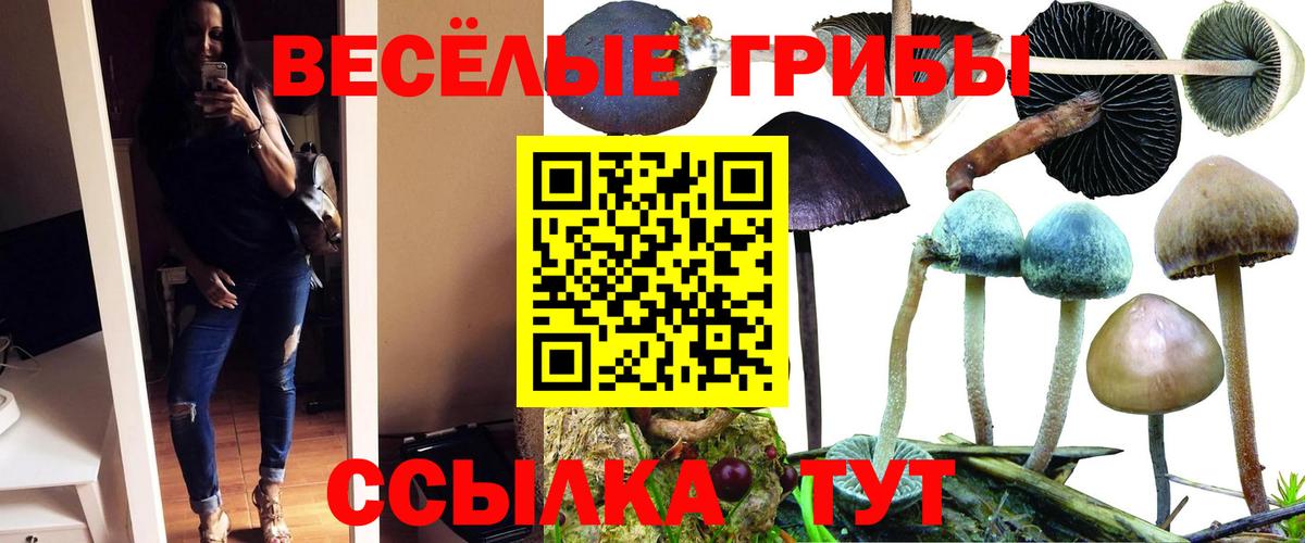 Псилоцибиновые грибы мухоморы Чернушка